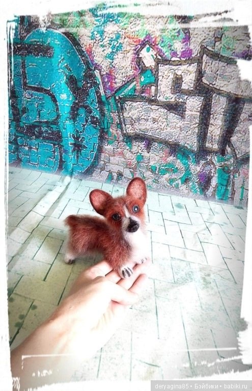 Мой первый вельш корги пемброк в формате мини (фото 9)