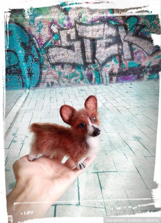 Мой первый вельш корги пемброк в формате мини (фото 5)