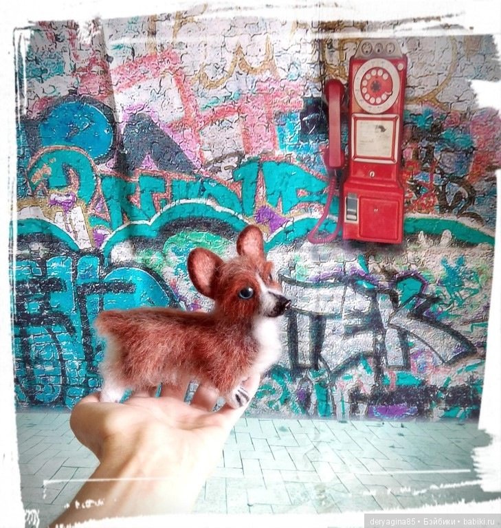 Мой первый вельш корги пемброк в формате мини (фото 6)