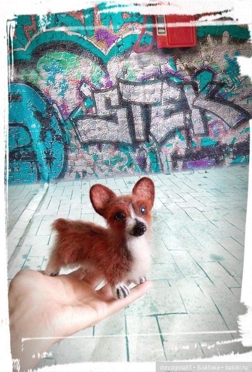 Мой первый вельш корги пемброк в формате мини (фото 4)