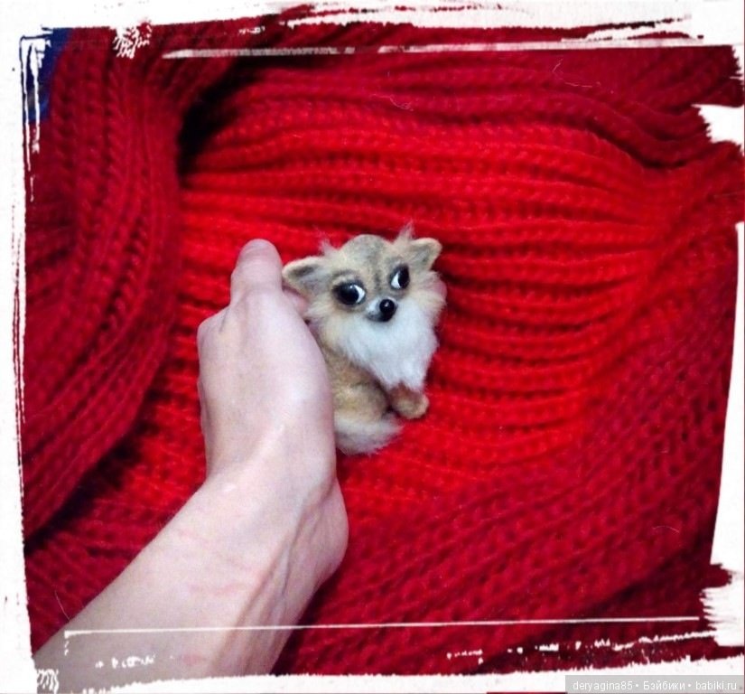 Брошь чихуахуа — Валяные игрушки из шерсти: сухое валяние (фото 5)