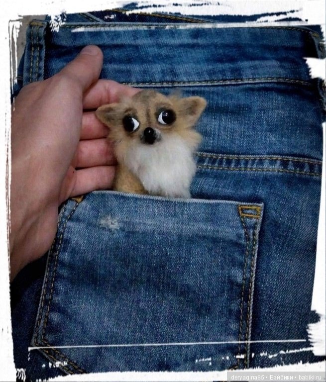 Брошь чихуахуа — Валяные игрушки из шерсти: сухое валяние (фото 2)