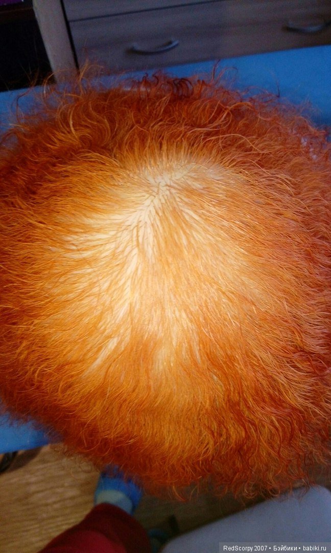 Моя последняя малышка - рыжик Киттен