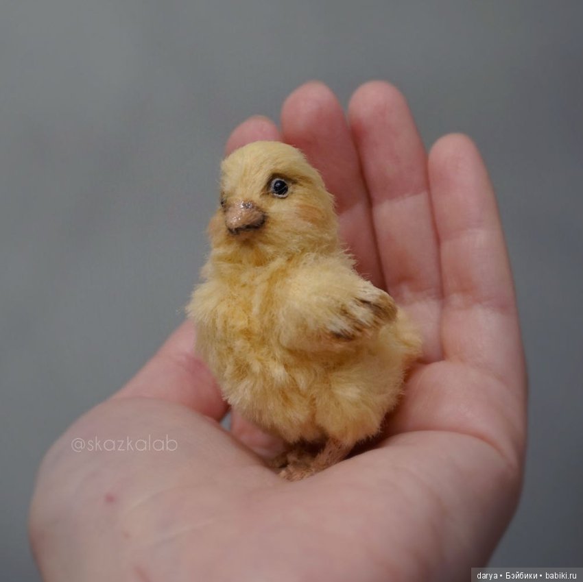 Цыпленок, авторская выкройка Виктории Макаровой (фото 2)