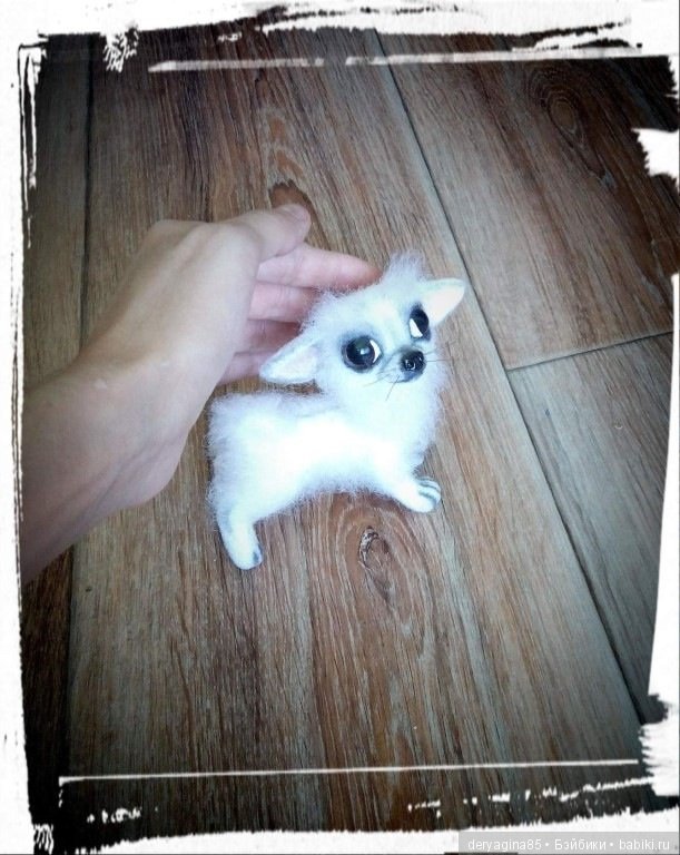 Моя первая длинношерстная чихуашечка (фото 7)