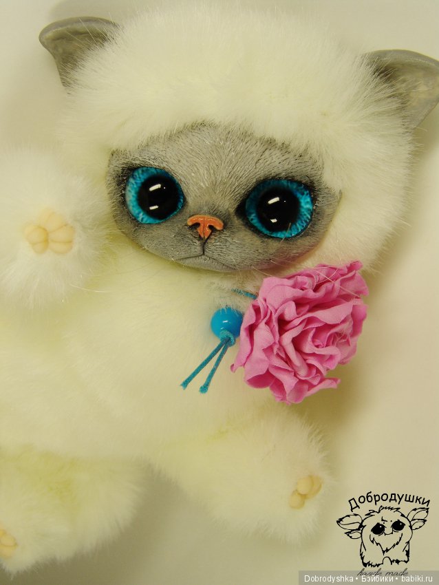 Котенок Василиска в розах (фото 4)