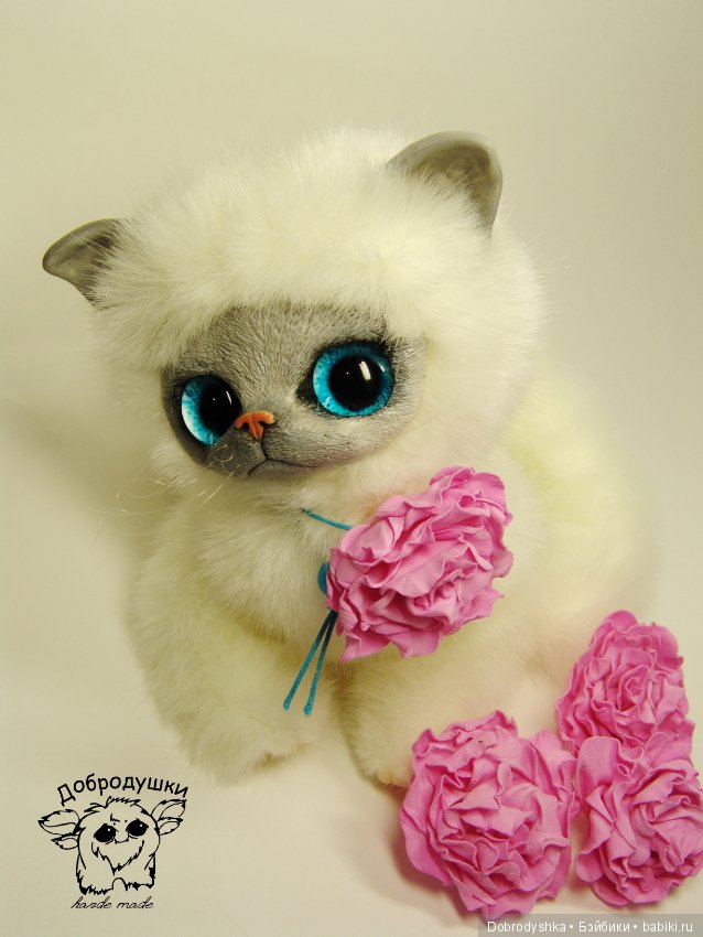 Котенок Василиска в розах (фото 9)