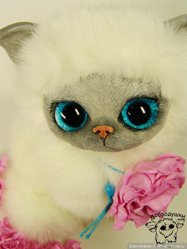 Котенок Василиска в розах