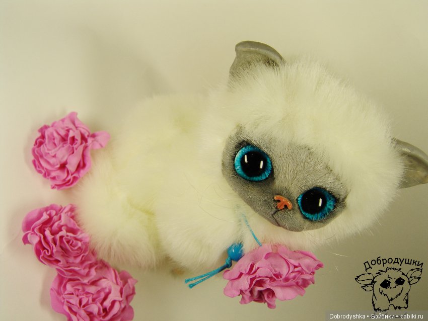 Котенок Василиска в розах (фото 5)
