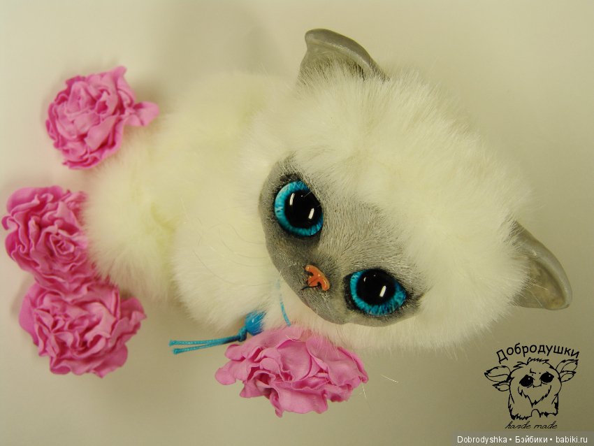 Котенок Василиска в розах (фото 2)