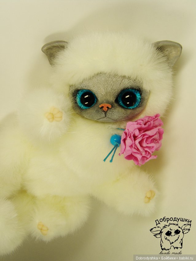 Котенок Василиска в розах (фото 3)