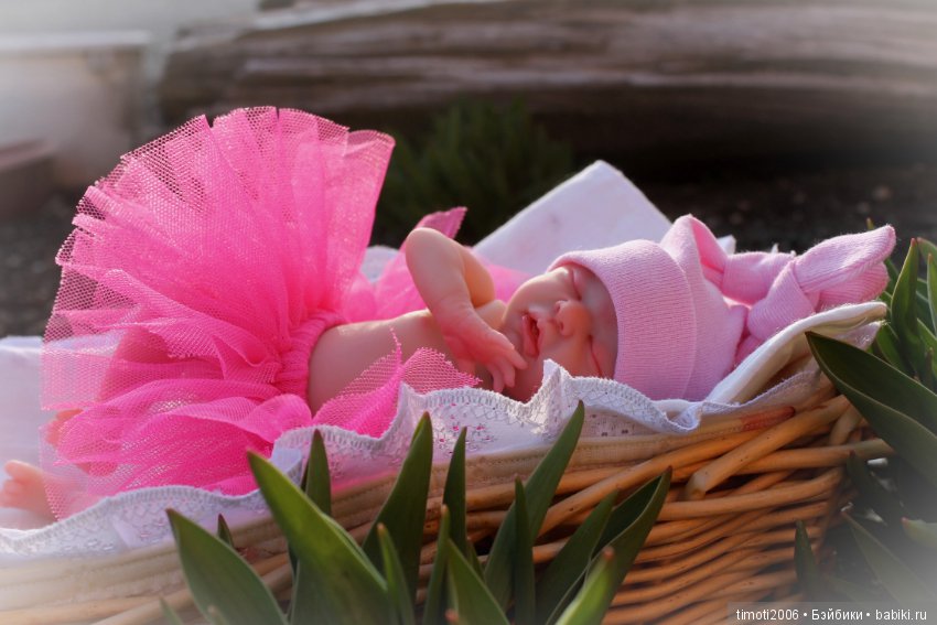 Малышка Wee Patience. Мой эксперимент