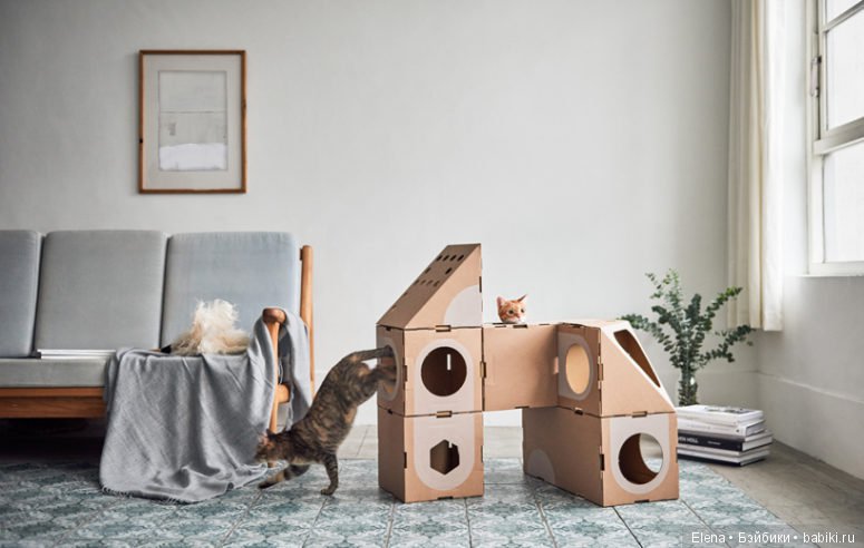 Кошачьи вещи Cat Thing — В мире животных: смешные фото питомцев и зверей (фото 2)