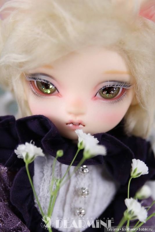 Dear Mine Doll продает Dear Beans, Dear Classic, Dear Pet, Dear Lover и L9 (фото 6)