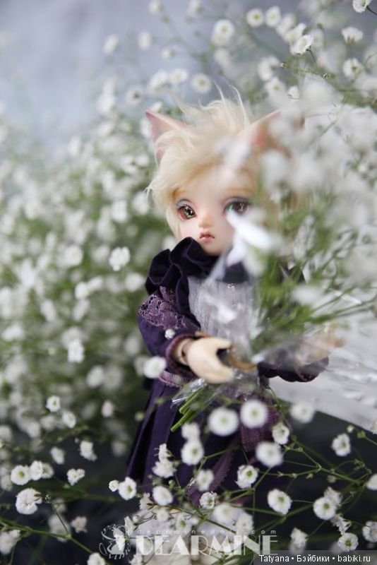 Dear Mine Doll продает Dear Beans, Dear Classic, Dear Pet, Dear Lover и L9 (фото 9)