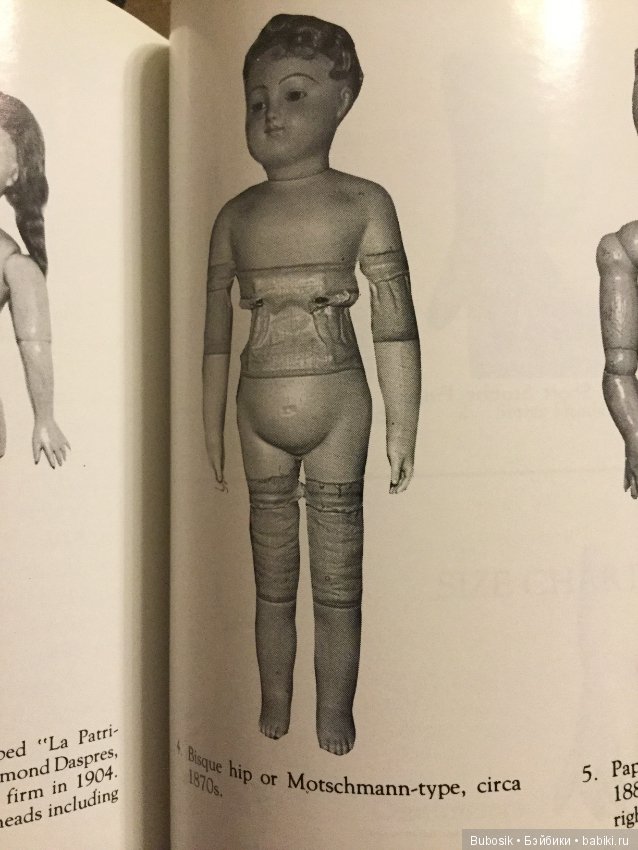 J.N.Steiner. Фигуры и серии,типы тел,кистей,ног (фото 5)