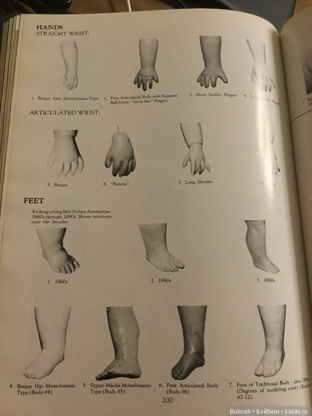 J.N.Steiner. Фигуры и серии,типы тел,кистей,ног