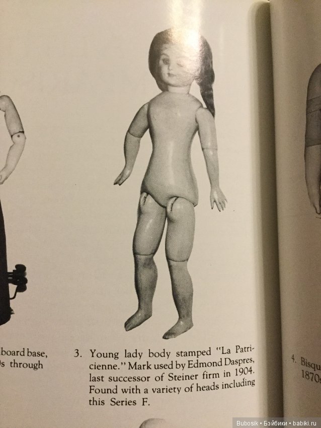 J.N.Steiner. Фигуры и серии,типы тел,кистей,ног (фото 4)