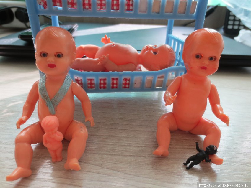 Мой мини - микро мир — Болталка и разговоры обо всем: жизнь (фото 5)