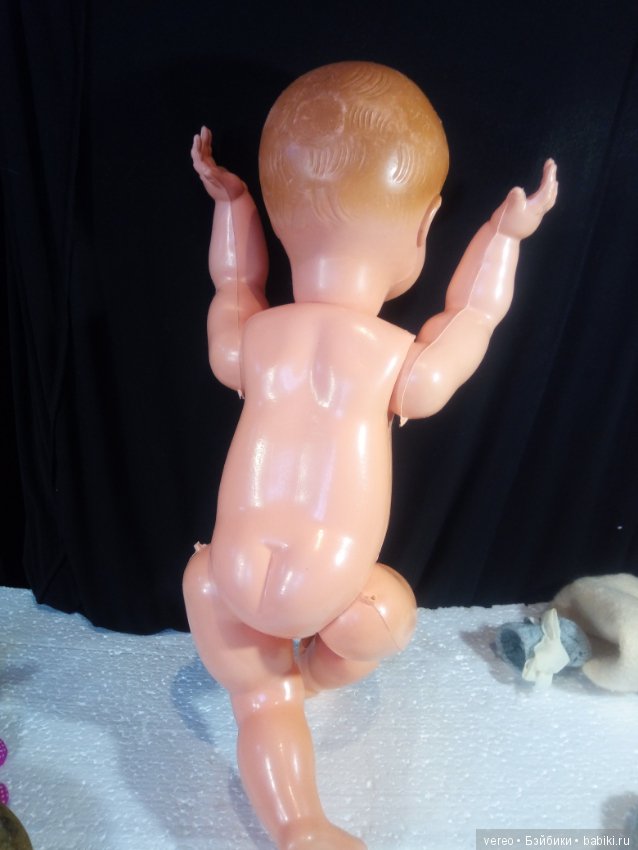 И снова о птичках — В мире животных: смешные фото питомцев и зверей