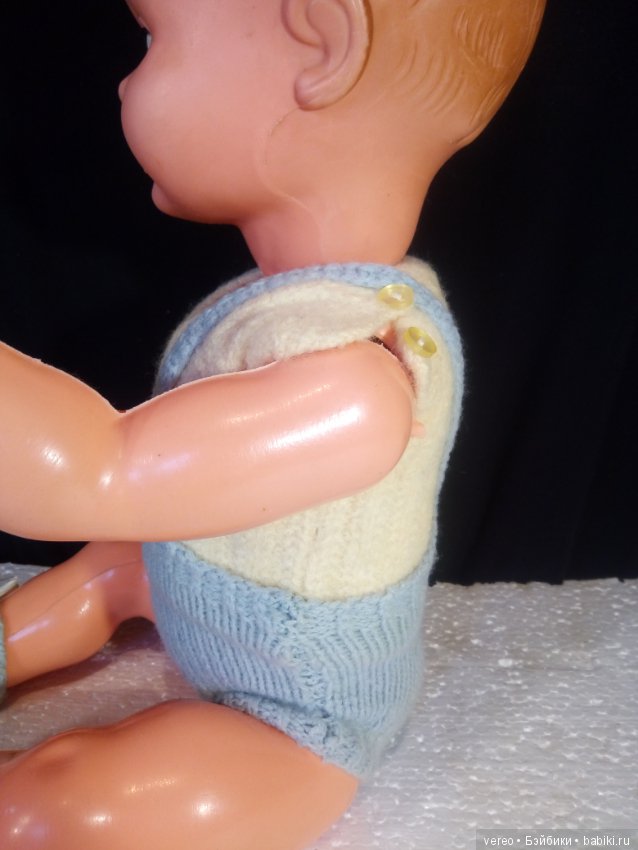 И снова о птичках — В мире животных: смешные фото питомцев и зверей