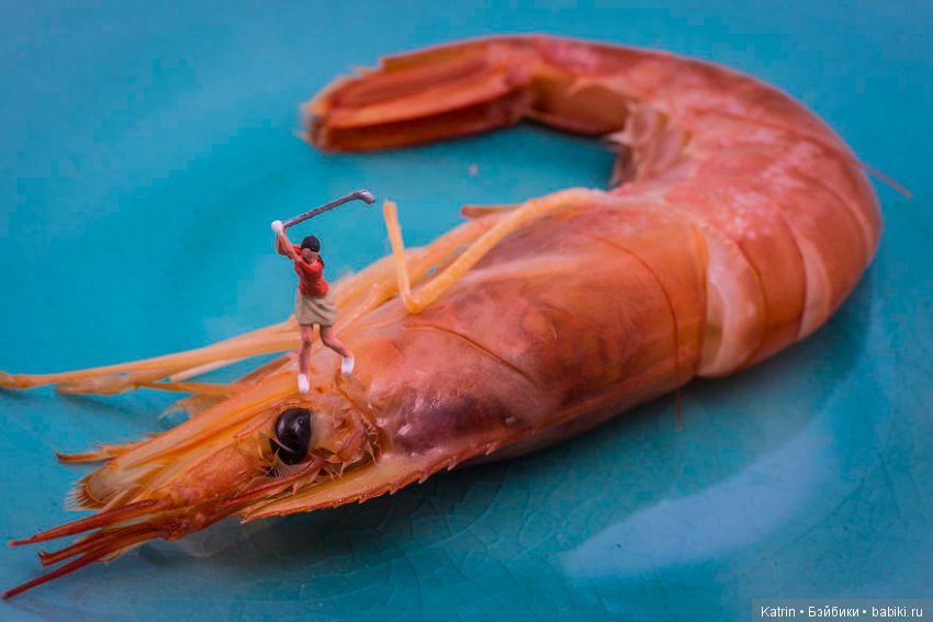 Крошечные миры Питера Чаквари (фото 2)