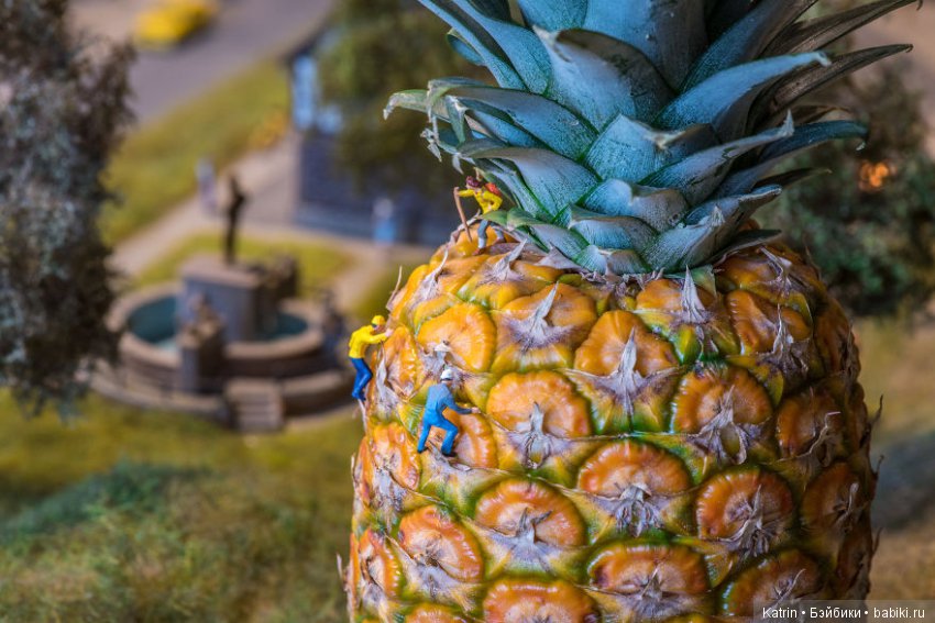 Крошечные миры Питера Чаквари (фото 9)