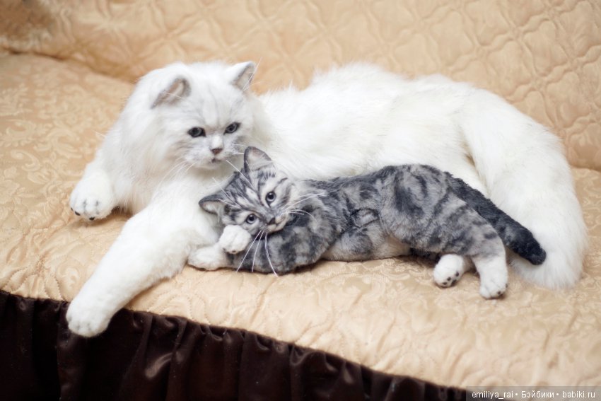 Полосатый котенок — Игрушки в смешанной технике (мех и глина): Арт