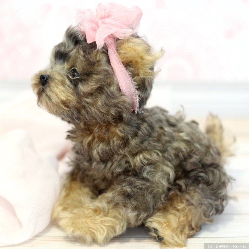 Авторские игрушки Анны Волковой (фото 9)