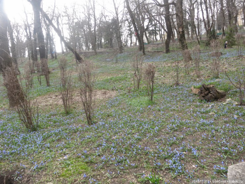 Любимый родной Железноводск