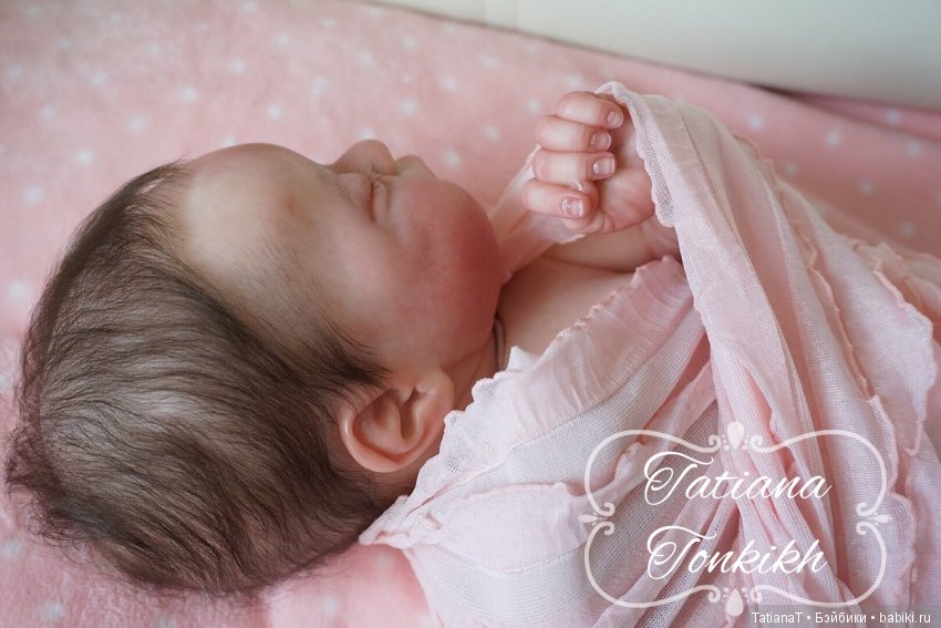 Новорожденная крошка Америкус (фото 4)