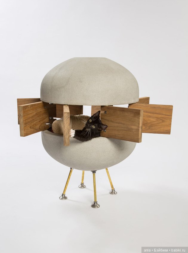 Кошачья архитектура — В мире животных: смешные фото питомцев и зверей (фото 10)