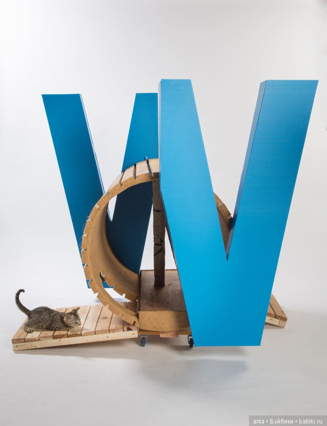 Кошачья архитектура — В мире животных: смешные фото питомцев и зверей (фото 7)