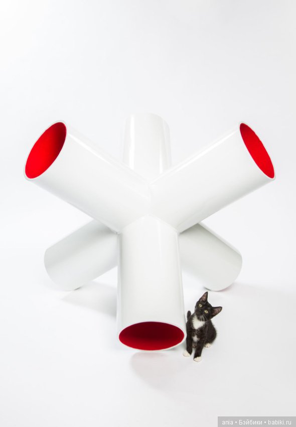 Кошачья архитектура — В мире животных: смешные фото питомцев и зверей (фото 2)