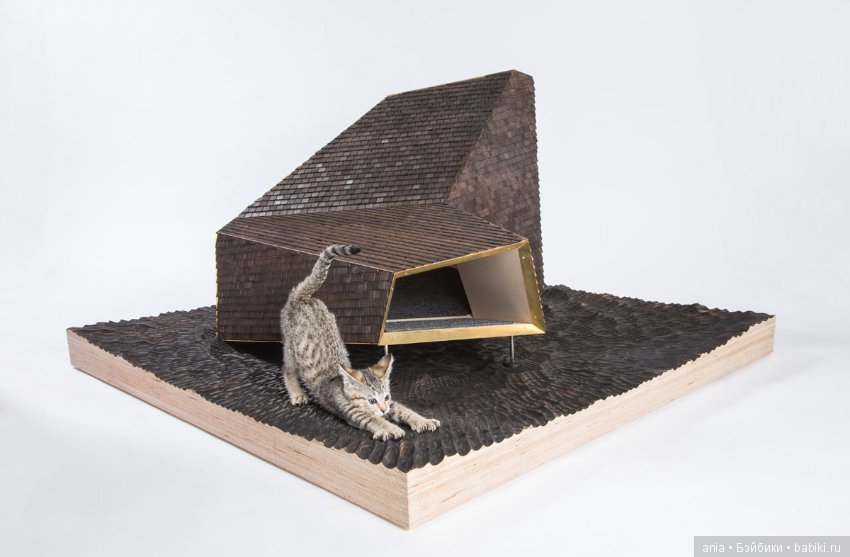 Кошачья архитектура — В мире животных: смешные фото питомцев и зверей