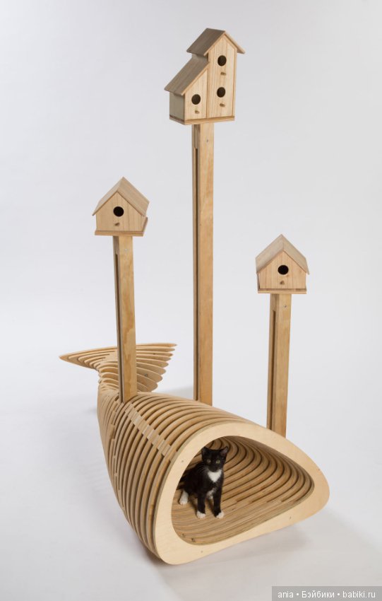 Кошачья архитектура — В мире животных: смешные фото питомцев и зверей (фото 6)