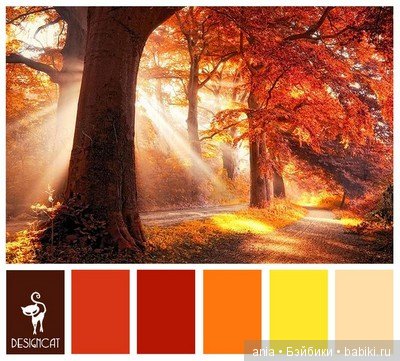 Сочетание цветов, краски осени