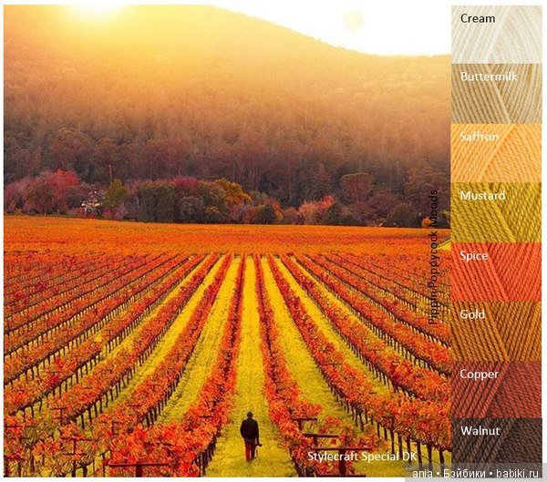 Сочетание цветов, краски осени