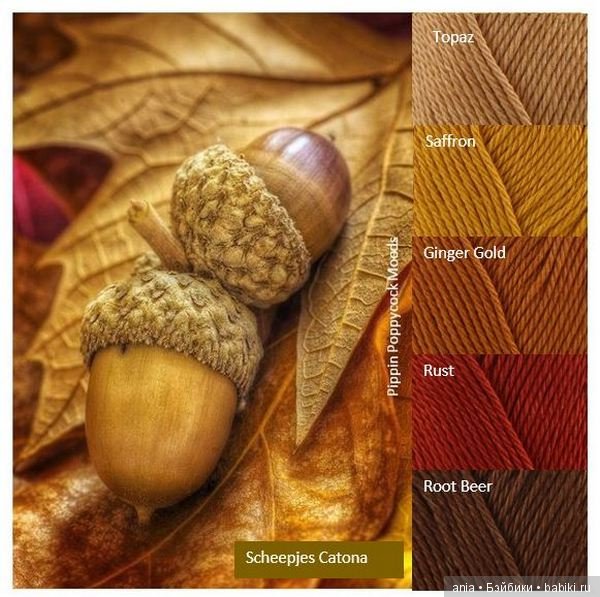 Сочетание цветов, краски осени (фото 2)