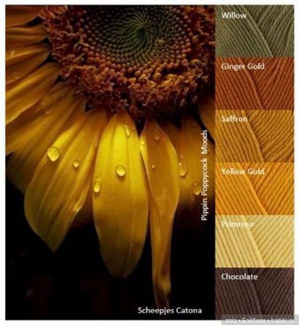 Сочетание цветов, краски осени (фото 3)