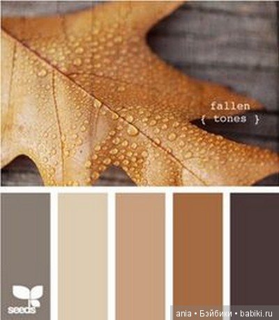 Сочетание цветов, краски осени (фото 7)