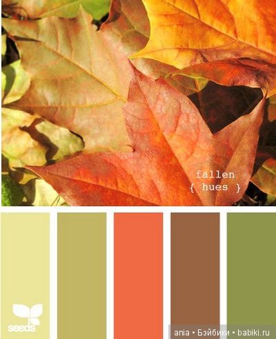 Сочетание цветов, краски осени (фото 10)