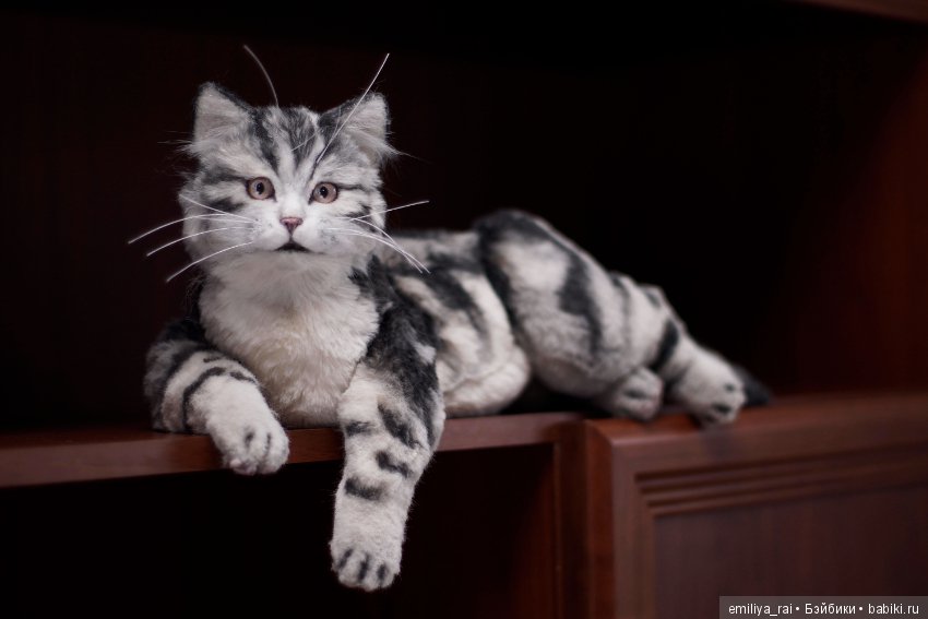 Милый и нежный полосатый котенок