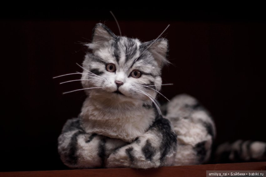 Милый и нежный полосатый котенок