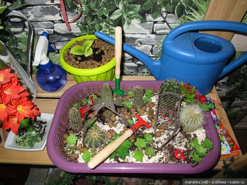 Коллекция мопсов на балконе