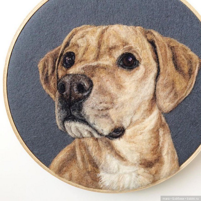 Невероятно реалистичная войлочная живопись от Дэни Айвс