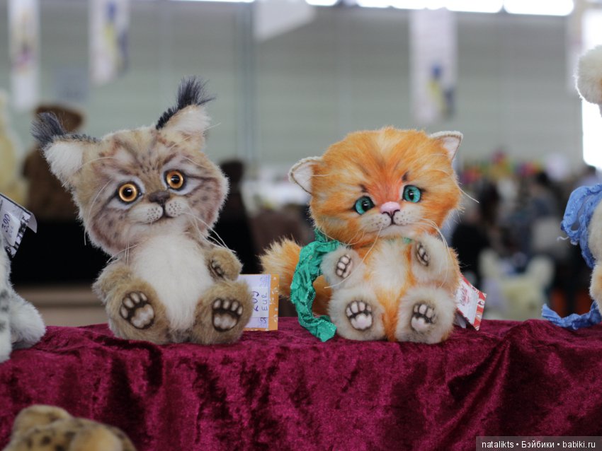 Münster 2018 Часть четвертая (фото 6)