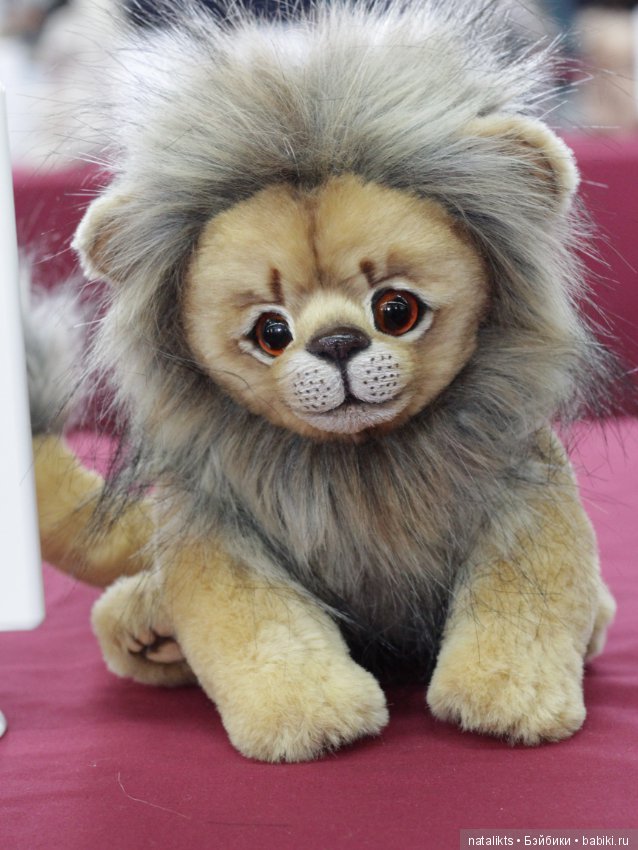 Münster 2018 Часть четвертая