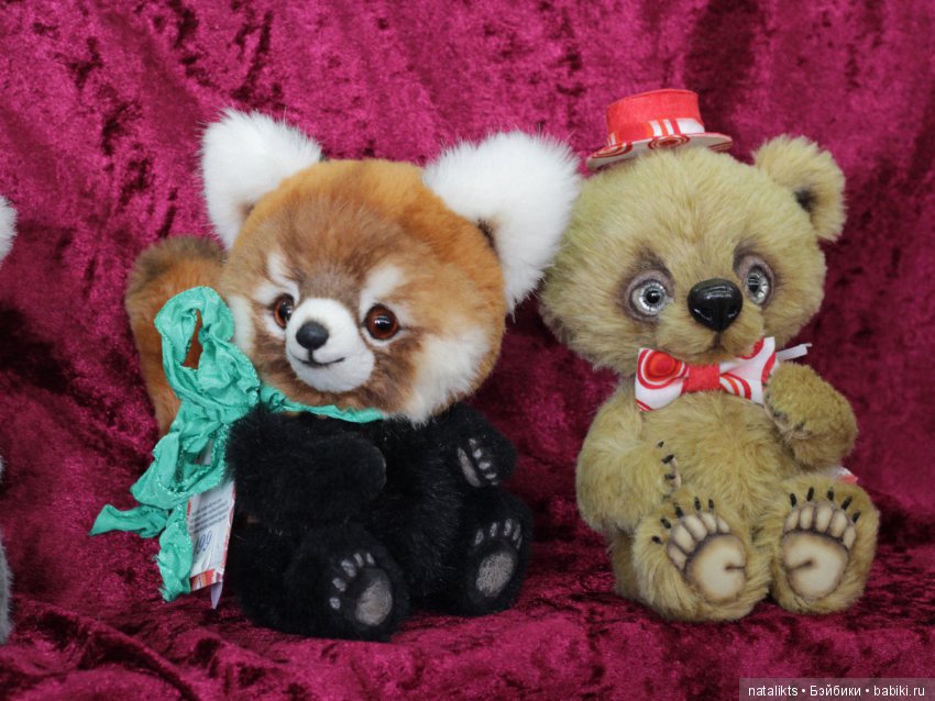 Münster 2018 Часть четвертая (фото 5)