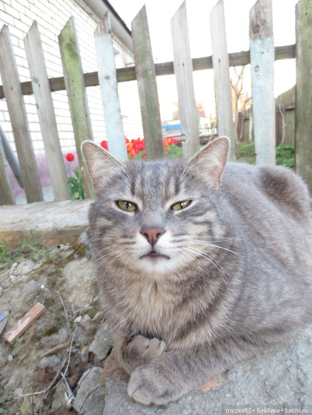 Ура, ура!!!! Настоящая весна пришла! Начало. Часть 1